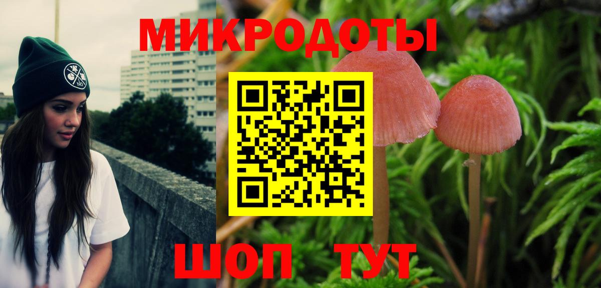 Галлюциногенные грибы MAGIC MUSHROOMS  Вход с VPN  Гулькевичи 