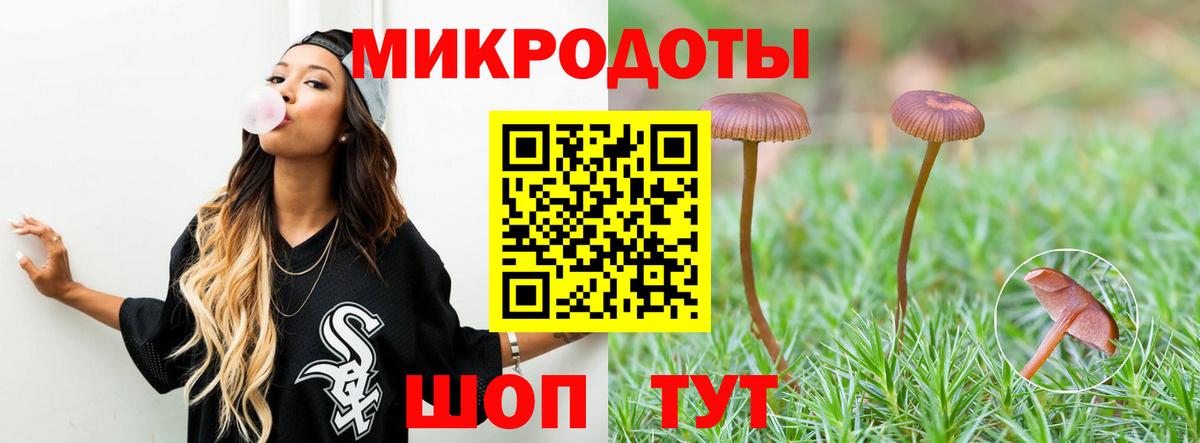 Псилоцибиновые грибы мицелий Гулькевичи
